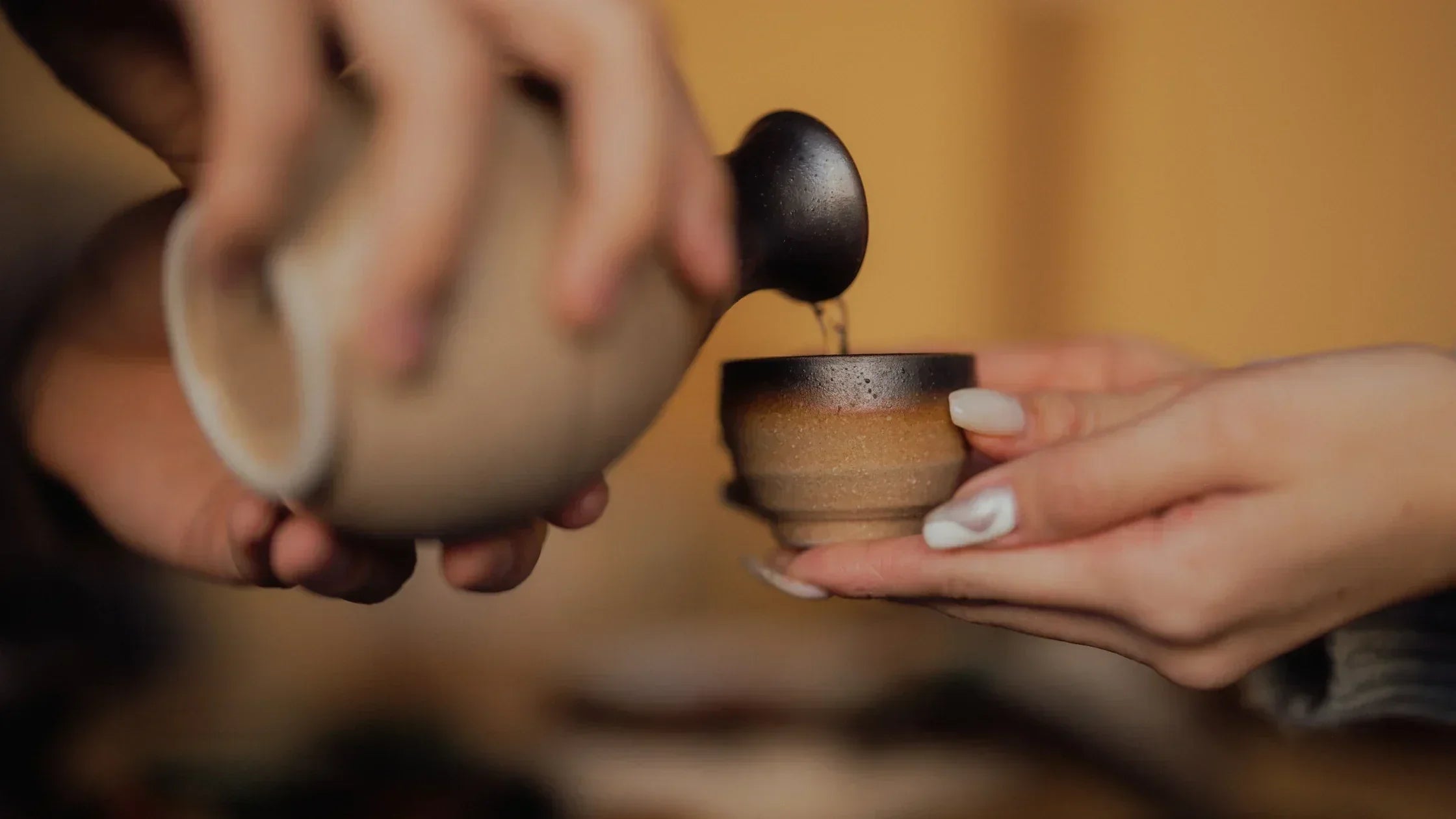 Embracing the Spirit of Omotenashi: The Heart of Japanese Hospitality