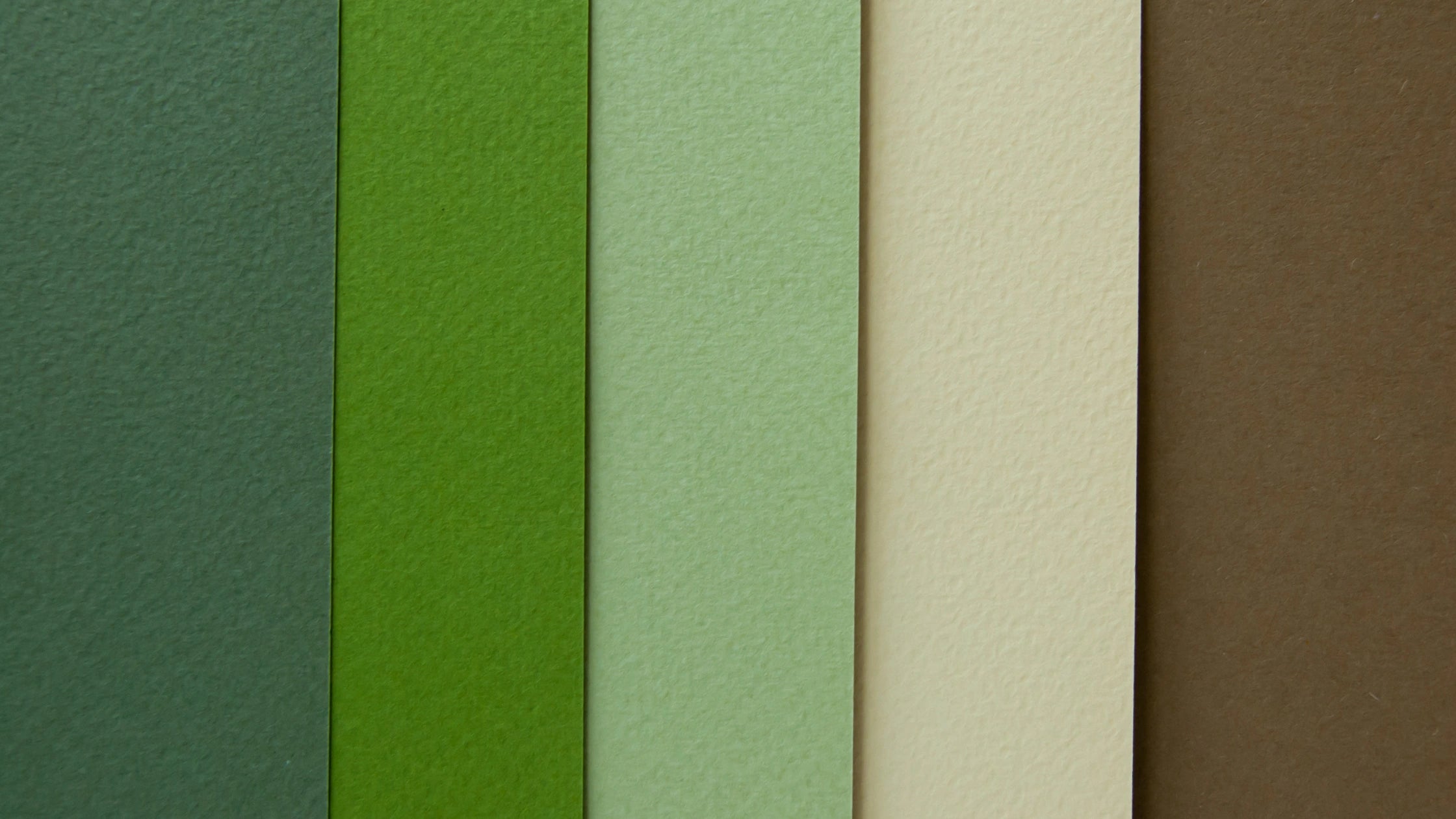 Traditional Japanese color palette with harmonious washoku tones, soft earthy hues, and elegant design inspiration