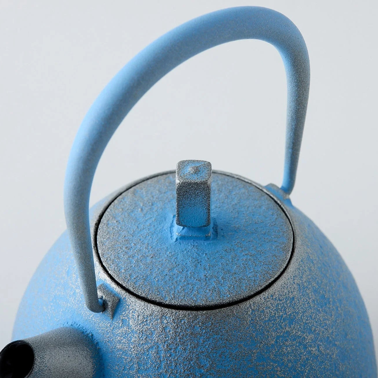 Tamayu Nambu ironware egg teapot – handcrafted Japanese cast iron kyusu for elegant tea brewing.