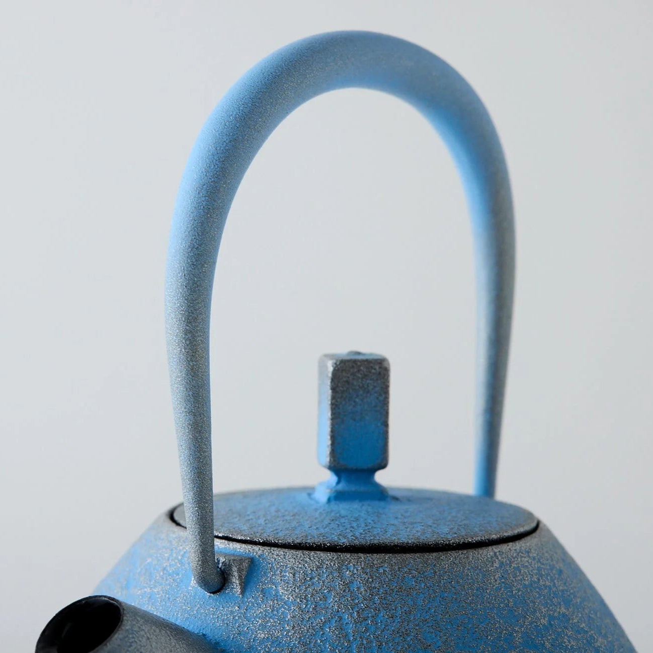 Tamayu Nambu ironware egg teapot – handcrafted Japanese cast iron kyusu for elegant tea brewing.