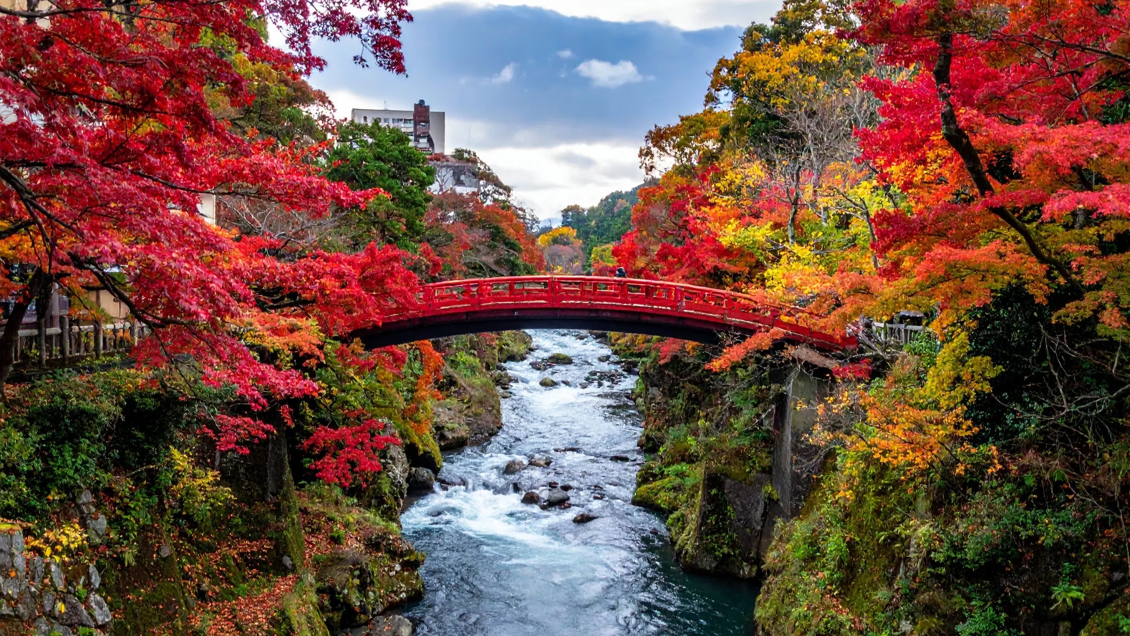 Autumn in Japan with vibrant red and gold maple leaves during the koyo season.