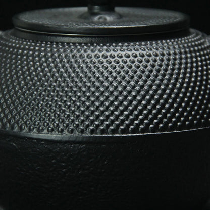 Japanese cast-iron teapot with tannin film covered interior, traditional design, and rust-resistant finish, perfect for brewing tea