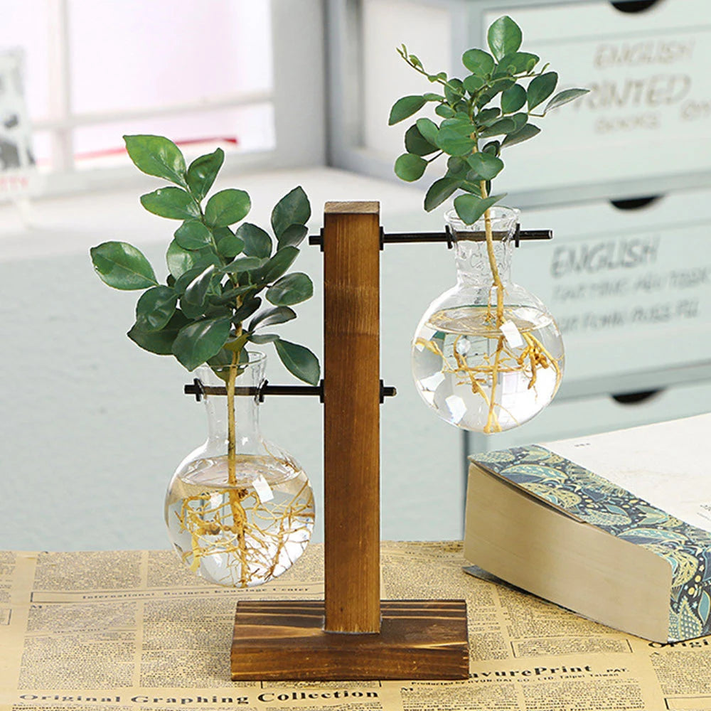 Japanese hydroponic planter bulb vase with wooden stand, modern design for growing plants indoors, perfect for home decor.