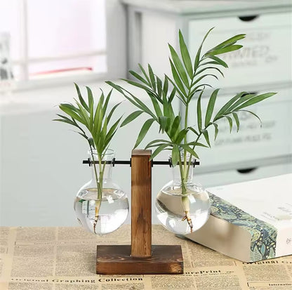 Japanese hydroponic planter bulb vase with wooden stand, modern design for growing plants indoors, perfect for home decor.