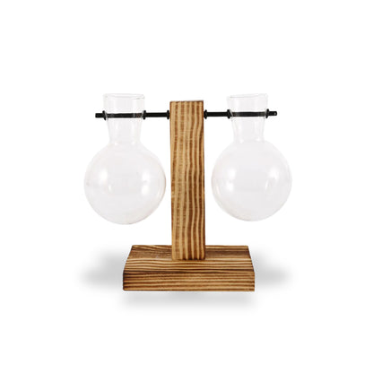 Japanese hydroponic planter bulb vase with wooden stand, modern design for growing plants indoors, perfect for home decor.