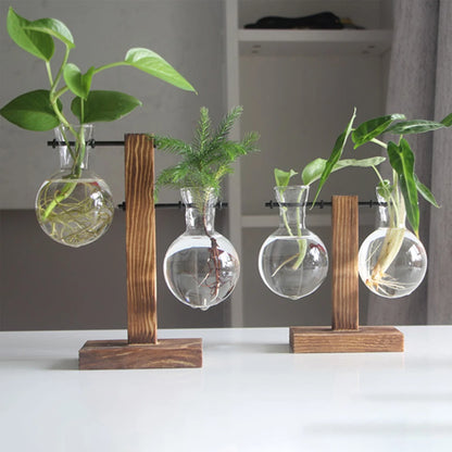 Japanese hydroponic planter bulb vase with wooden stand, modern design for growing plants indoors, perfect for home decor.