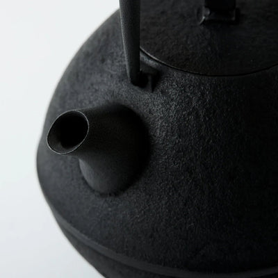 Tamayu Nambu ironware egg teapot – handcrafted Japanese cast iron kyusu for elegant tea brewing.