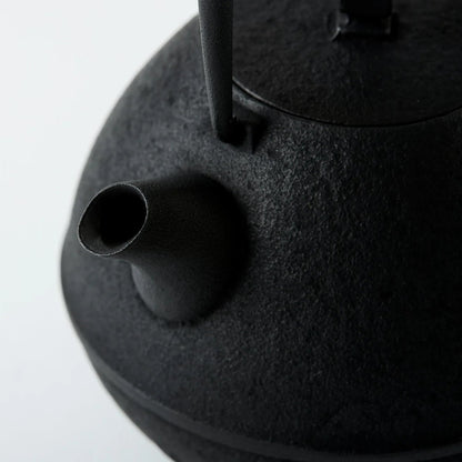 Tamayu Nambu ironware egg teapot – handcrafted Japanese cast iron kyusu for elegant tea brewing.