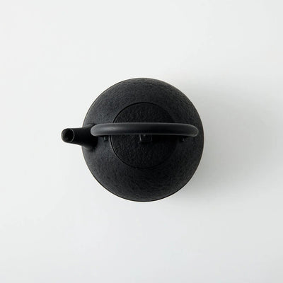 Tamayu Nambu ironware egg teapot – handcrafted Japanese cast iron kyusu for elegant tea brewing.