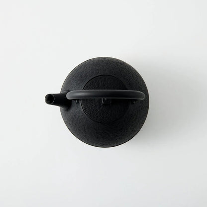 Tamayu Nambu ironware egg teapot – handcrafted Japanese cast iron kyusu for elegant tea brewing.